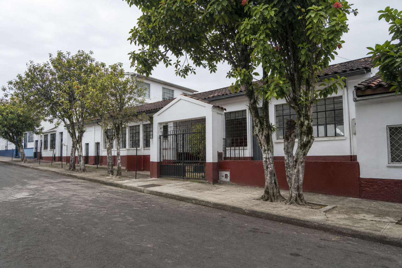 Sede Mercedes Pardo